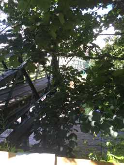 Detail on side of railings of Thorngate Footbridge July 2016